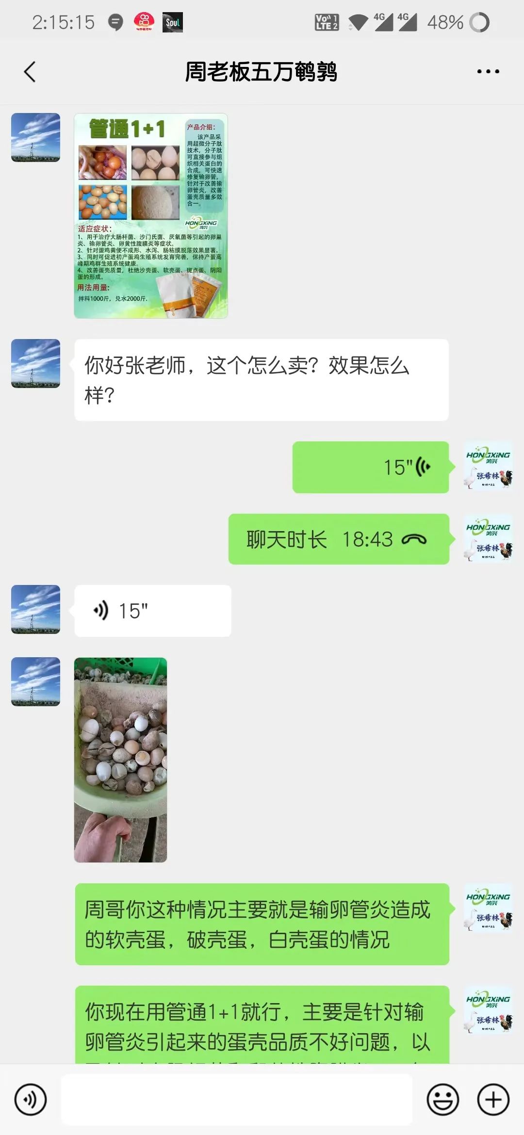 致富经养鹌鹑的_养殖鹌鹑前景如何_鹌鹑养殖致富