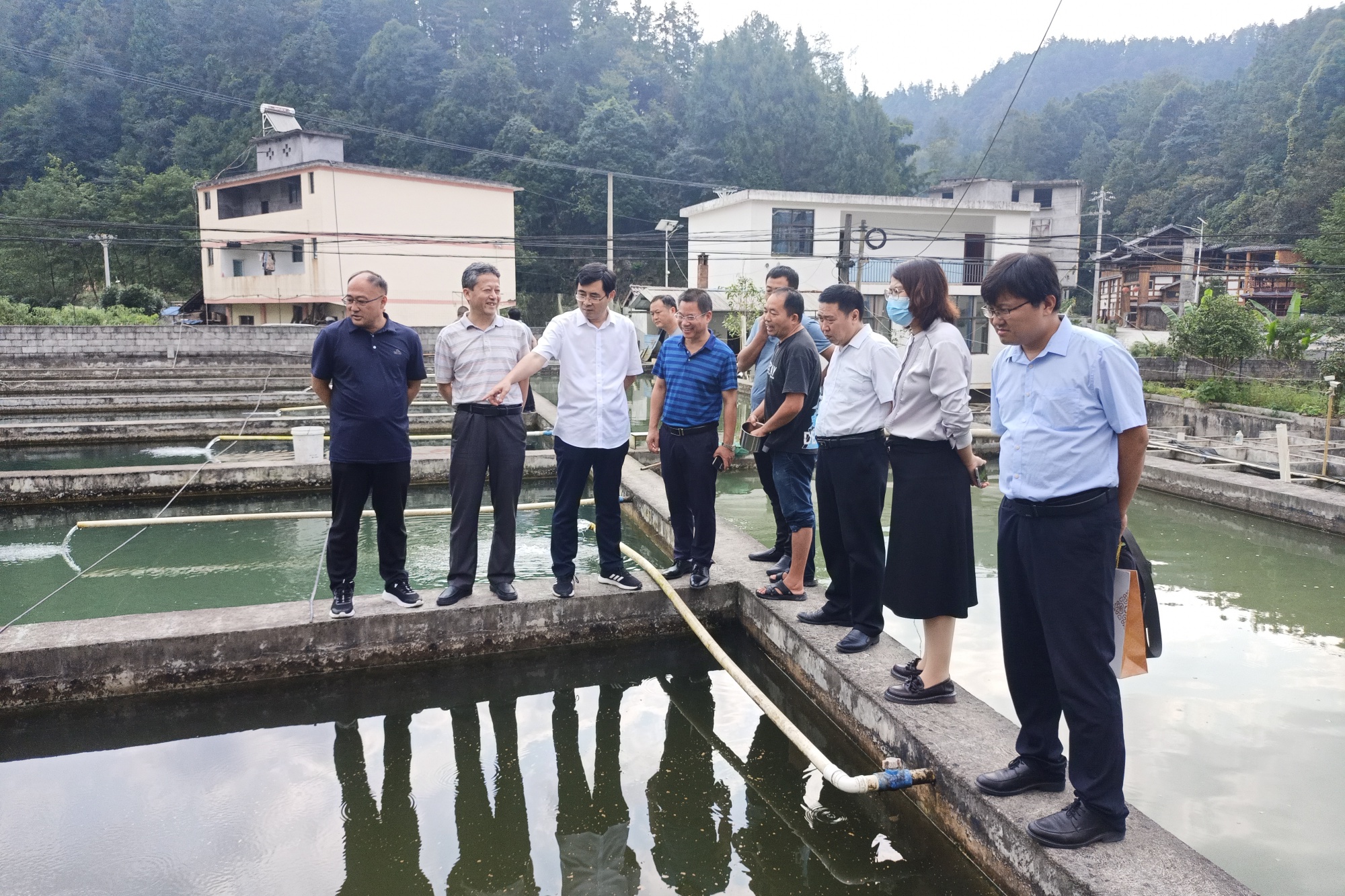 黄河鲤鱼怎么养殖_黄河鲤鱼养殖技术_黄河鲤鱼养殖技术要求