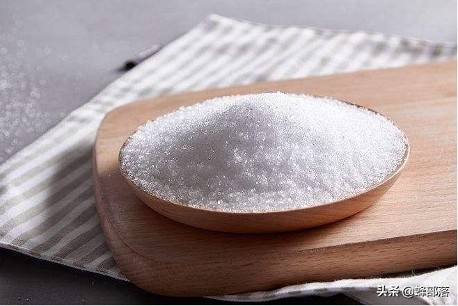 致富经养蜂视频_致富经爻养中蜂视频_致富经养蜜蜂致富视频