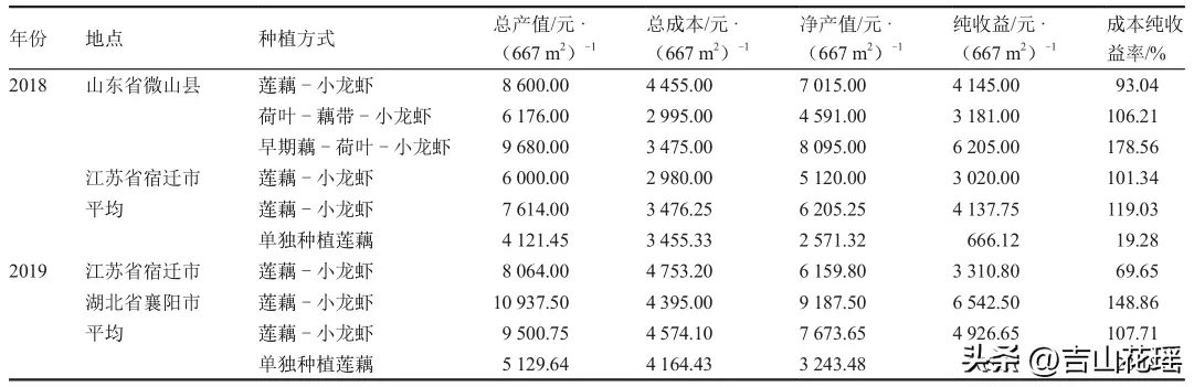 藕田泥鳅养殖技术_田藕套养泥鳅致富经_科技苑莲藕套养泥鳅