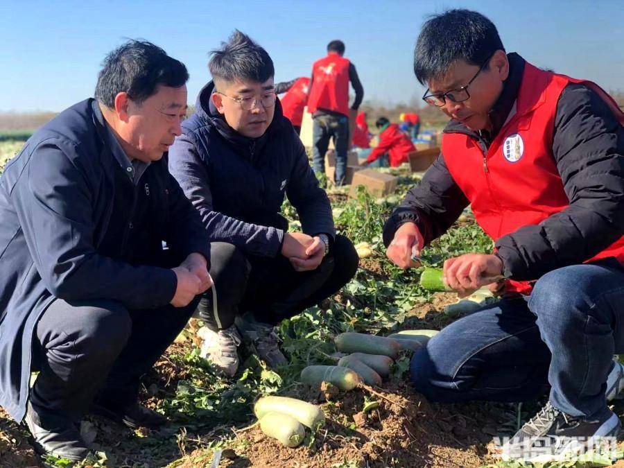 最美家乡人 |“田间菜鸟”成为致富带头人！