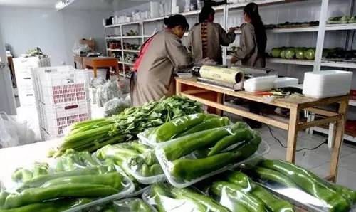 农业种植致富小说下载_致富种田秀恩爱免费阅读_致富种田忙免费阅读