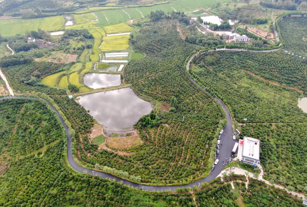 山东中旺养殖基地_山东中旺致富经_山东致富项目