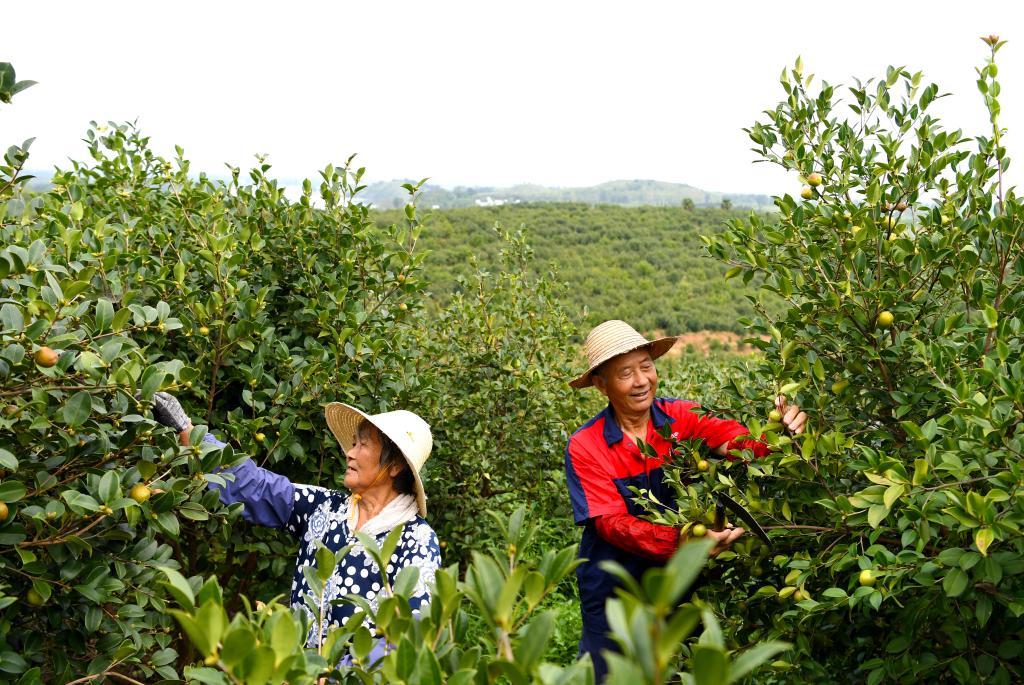 山东致富项目_山东中旺致富经_山东中旺养殖基地