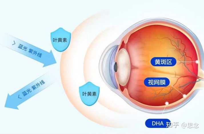 优秀店铺分享心得_商家优势介绍_优质商家经验分享