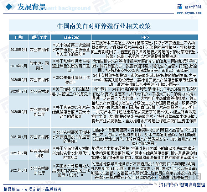 南美白对虾苗养殖技术_美白养殖南虾苗技术要求_美白养殖南虾苗技术视频教程