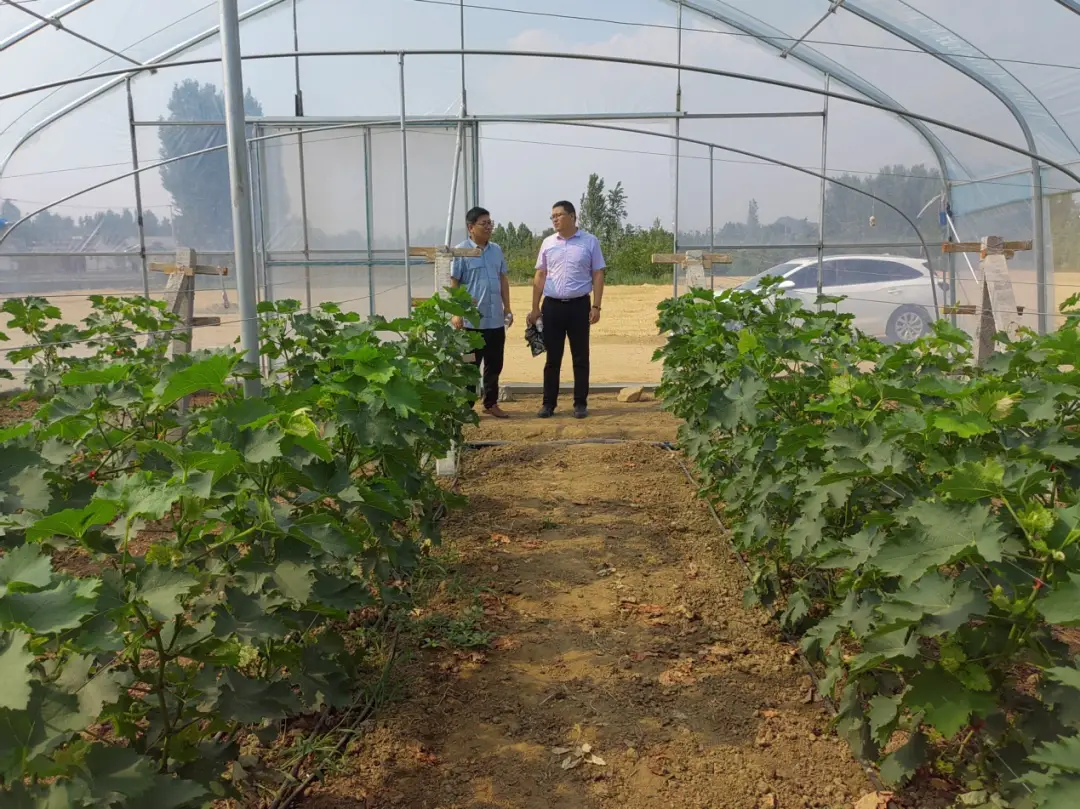 种植地瓜赚钱吗_种植地瓜致富信息_致富种植地瓜信息怎么写