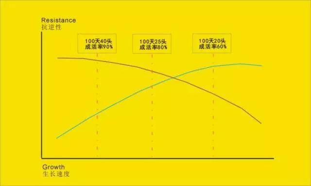 南美虾育苗技术_养南美白对虾虾苗_南美白对虾苗养殖技术