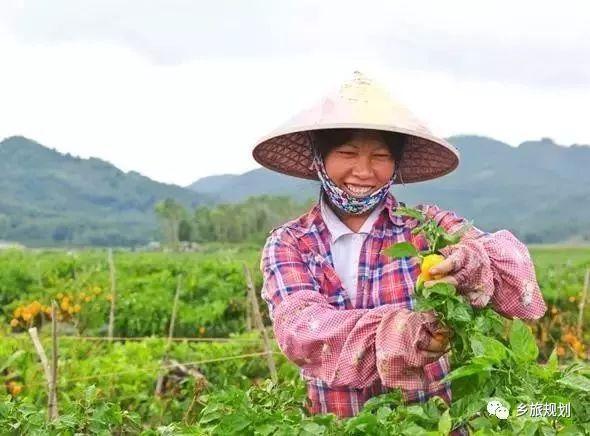 借鉴优质规划经验材料_借鉴优质规划经验材料怎么写_借鉴优质规划经验材料的意义