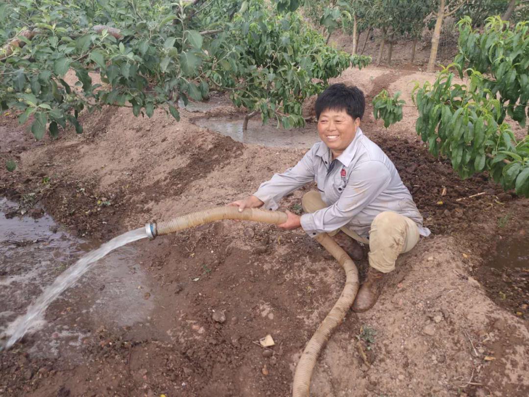 红薯致富经致富经视频_致富经地瓜_致富经野地瓜种植视频