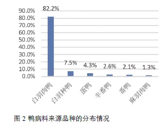 番鸭养殖技术视频_半番鸭养殖技术_番鸭养殖新技术