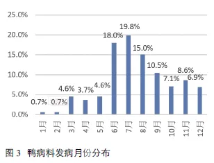 番鸭养殖技术视频_半番鸭养殖技术_番鸭养殖新技术