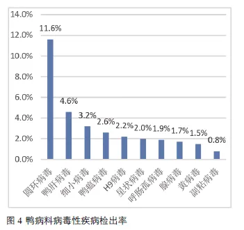 番鸭养殖技术视频_半番鸭养殖技术_番鸭养殖新技术