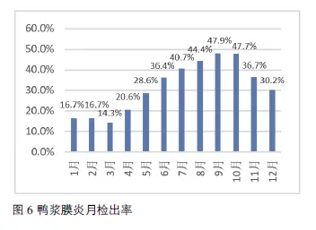 番鸭养殖新技术_番鸭养殖技术视频_半番鸭养殖技术