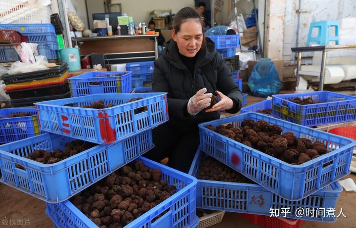 养殖鳗鱼赚钱吗_致富经鳗鱼养殖视频_养殖鳗鱼 致富 新闻