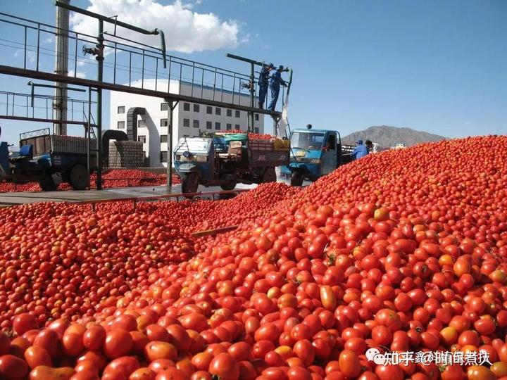 养殖鳗鱼 致富 新闻_养殖鳗鱼赚钱吗_致富经鳗鱼养殖视频