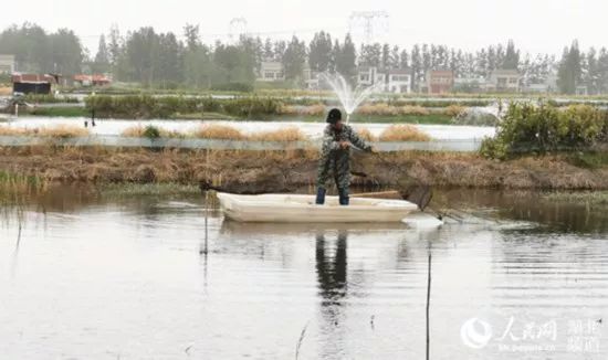 致富经小龙虾_龙麻辣小龙虾_致富经麻辣小龙虾