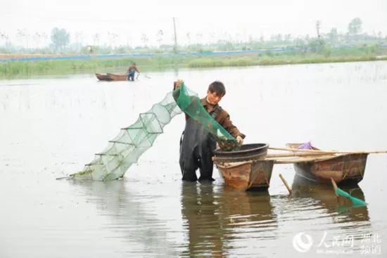 致富经麻辣小龙虾_致富经小龙虾_龙麻辣小龙虾