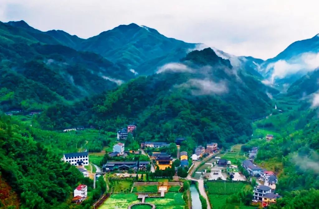 浙江衢州适合种什么药材_衢州大山种植致富_衢州适合种植什么农作物