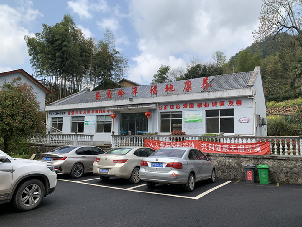 浙江衢州适合种什么药材_衢州蔬菜种植基地_衢州大山种植致富