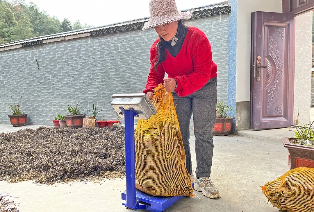 腊肉赚钱吗_腊肉致富经_腊肉挣多少钱
