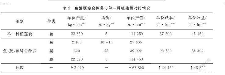 藕塘可以养螃蟹吗？藕塘鱼蟹综合种养技术要点