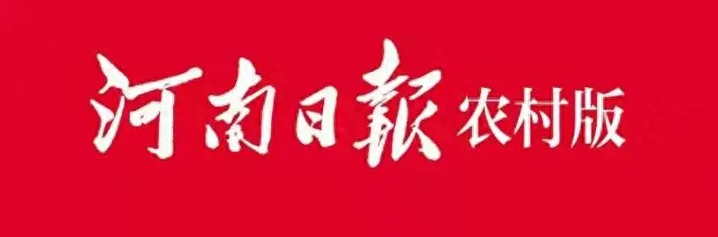 为生命保驾 为健康护航——永城市卫健委2023年高质量发展工作综述