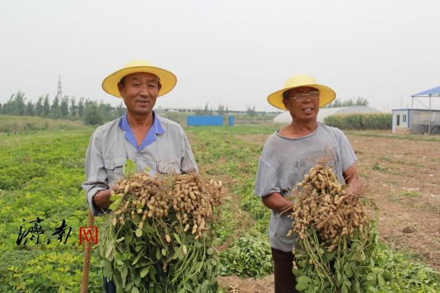 济南种植小米致富_山东小米的亩产量是多少_山东产小米的地方