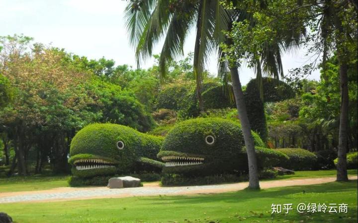 种植花卉致富_种植花木前景怎样_花木种植 增收致富