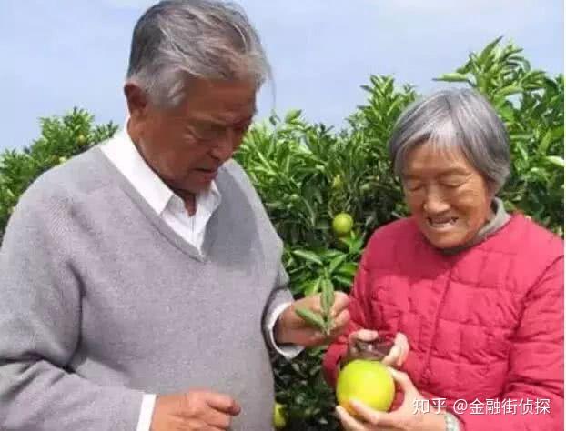 视频致富种植烟叶是真的吗_种植烟叶致富视频_种植烟叶的利润怎么样