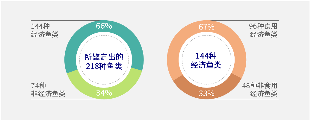 野兔养殖前景_养殖野兔子前景如何_中国野兔养殖技术