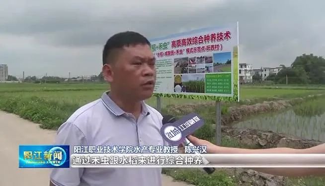 视频致富养殖斗鱼是真的吗_斗鱼养殖致富视频_养殖斗鱼赚钱吗