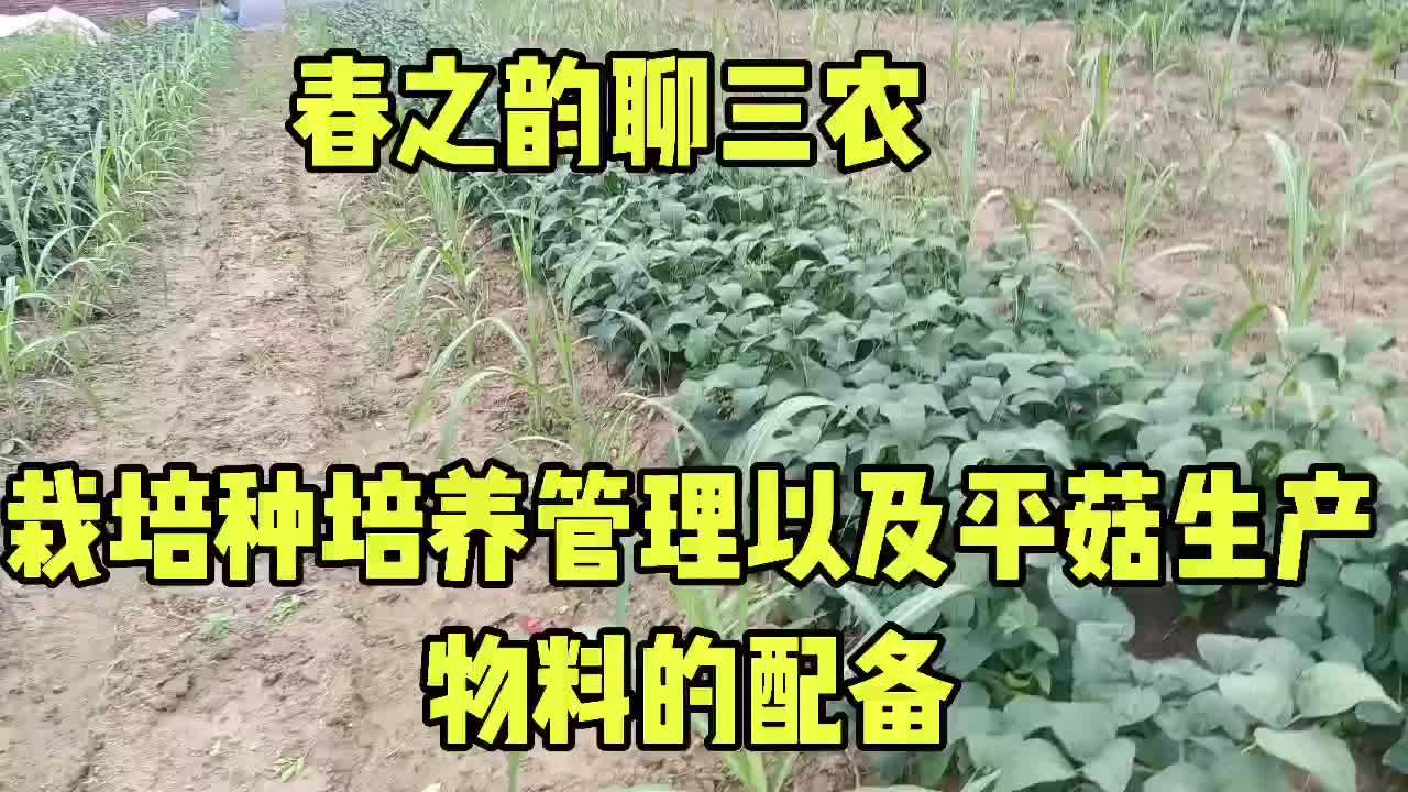 香菇养殖食用菌技术视频_香菇食用菌栽培技术_香菇食用菌养殖技术