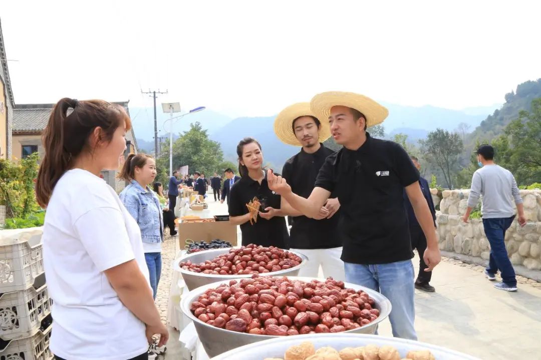 视频致富养殖斗鱼是真的吗_斗鱼养殖致富视频_养殖斗鱼赚钱吗