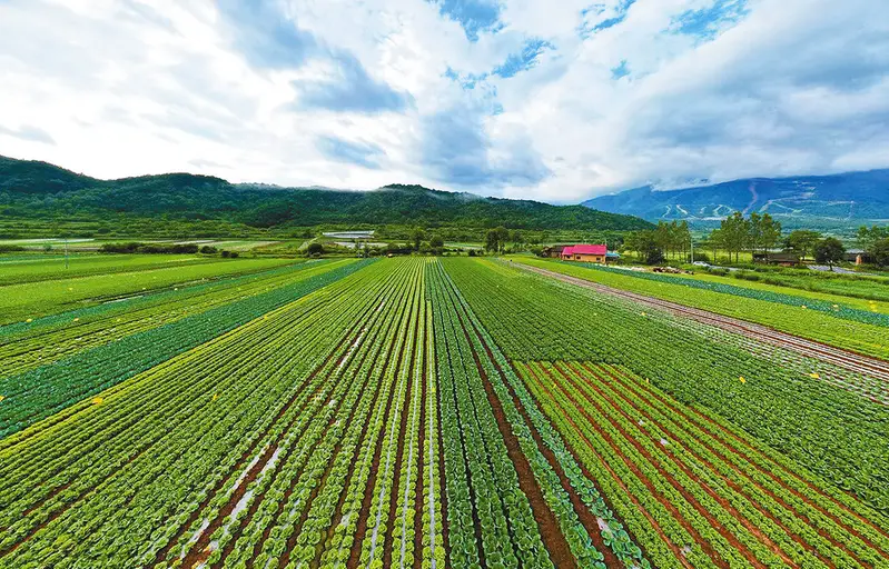 农村致富新项目种植业_农业致富种植项目_农业种植致富先机