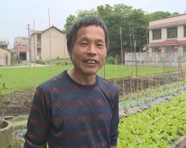 养牛视频致富经_农业节目致富经养牛视频_养牛种植致富视频