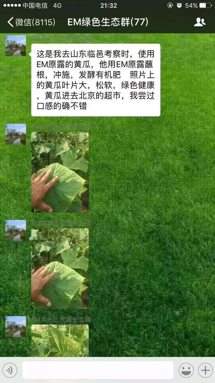 黄瓜大棚种植种技术与管理_黄瓜大棚种种植技术_黄瓜大棚种植技术视频