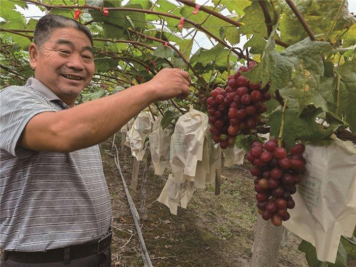 扣蟹养殖种草技术_蟹养殖_最新扣蟹养殖技术