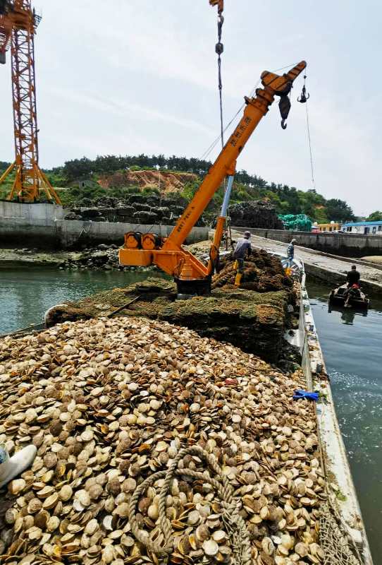 致富经养虾繁殖_虾养殖户_养虾致富经视频