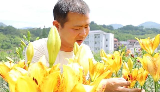 汽车修理工变身“花农”一年种出1300万，野地杂草长百合，啥样子