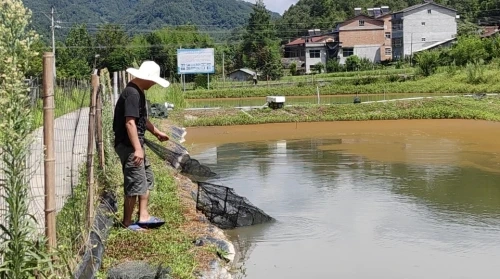 致富养殖信息_养殖带动增收_生态养殖增收致富