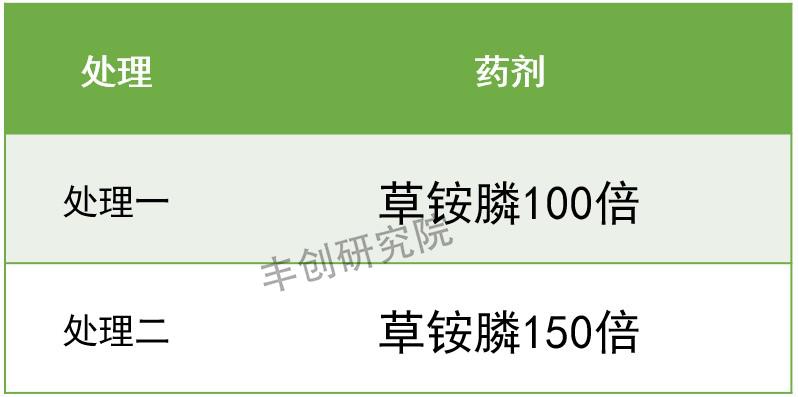 果园土鹅养殖技术_果园林下养鹅技术_果园养鹅视频