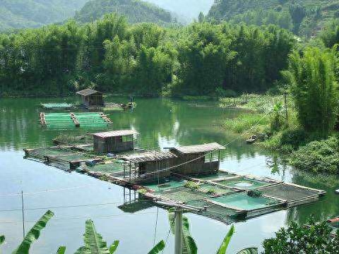 有潜力的养殖项目——河道养鱼，致富新招