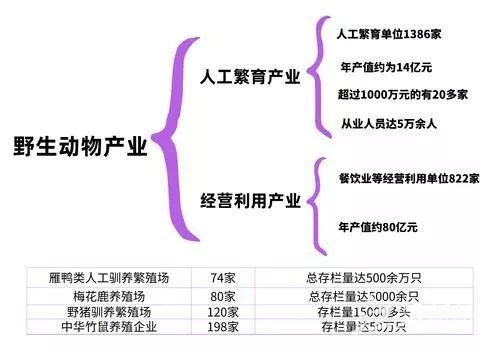 赤麻鸭苗_养殖技术赤麻鸭视频_赤麻鸭养殖技术