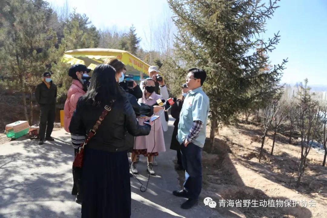 生态专栏331期|学习先进——齐新章|依托救护和繁育 开展本土鸟类保护教育