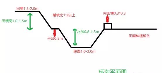 视频龙虾养殖技术教学_养殖龙虾的技术和视频_视频龙虾养殖技术教程