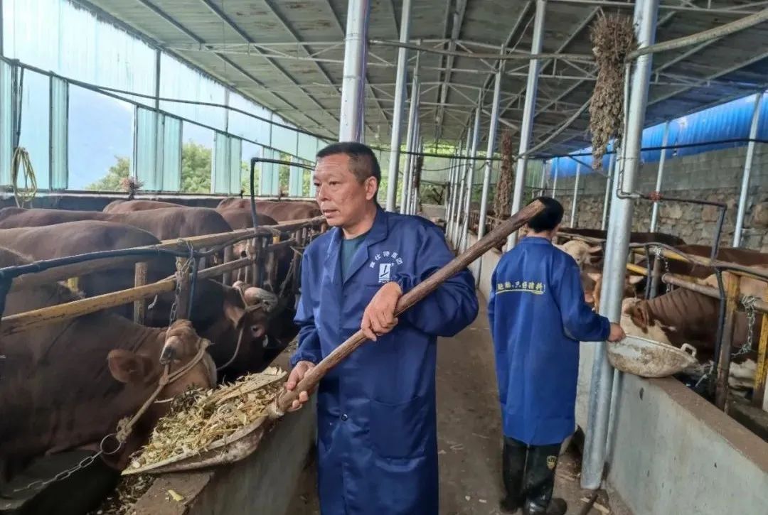 草地养殖致富新闻_浙江养殖澳洲龙虾致富_农村致富养殖项目