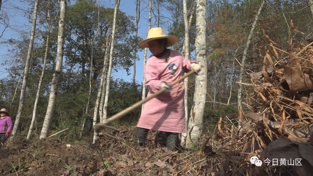 男子种植致富_种植致富经视频_致富种植视频全集