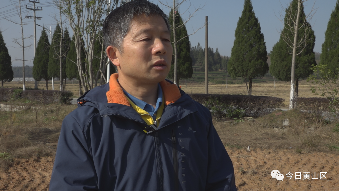 致富种植视频全集_男子种植致富_种植致富经视频