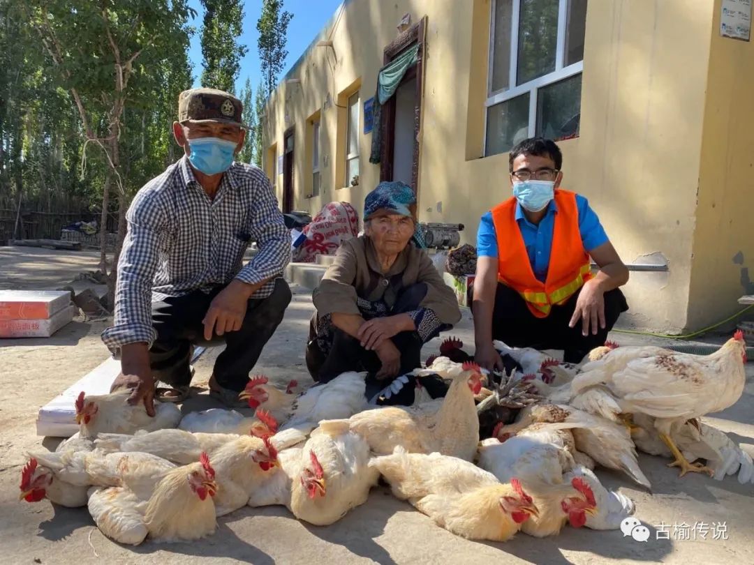 养殖致富项目 庭院_庭院致富项目案例_庭院种养结合致富案例